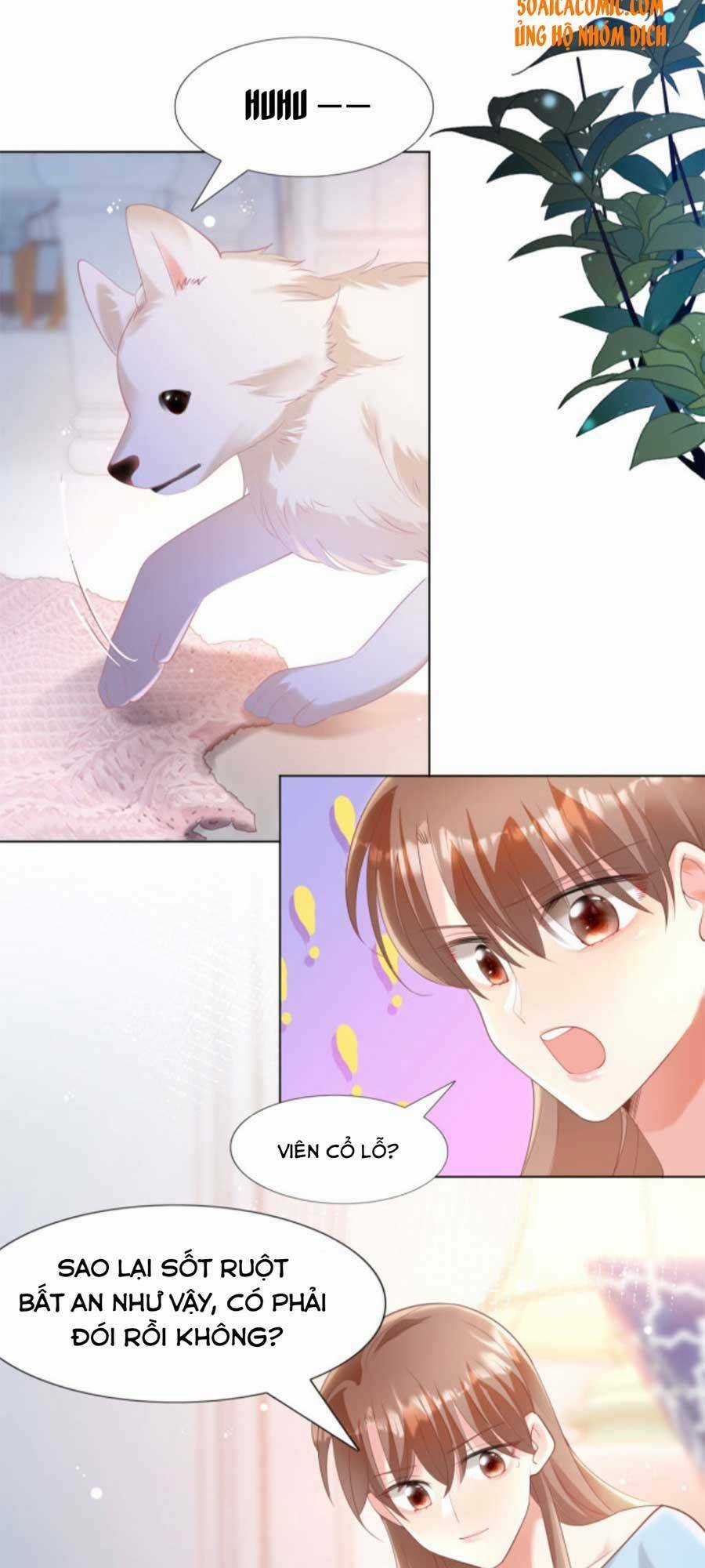 Diêu Diêu Yêu Dấu, Cuối Cùng Sủng Được Em Rồi Chapter 41 trang 1