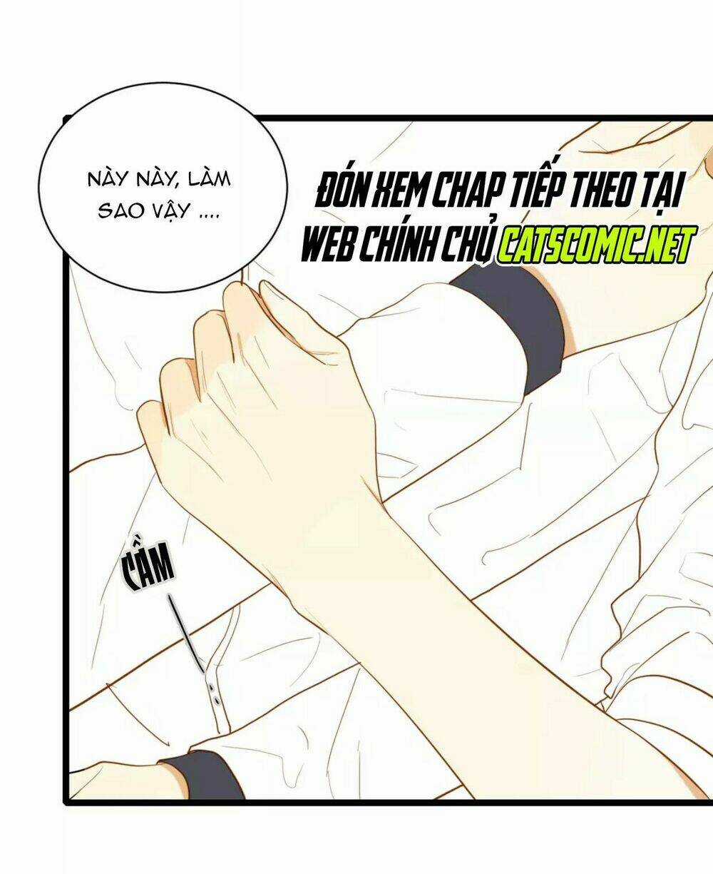 Điều giáo quan hệ Chapter 23 trang 4