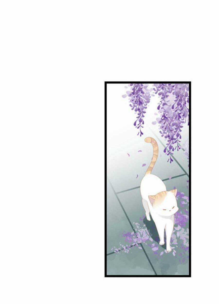 Điều Hương Vương Phi Chapter 23 trang 4