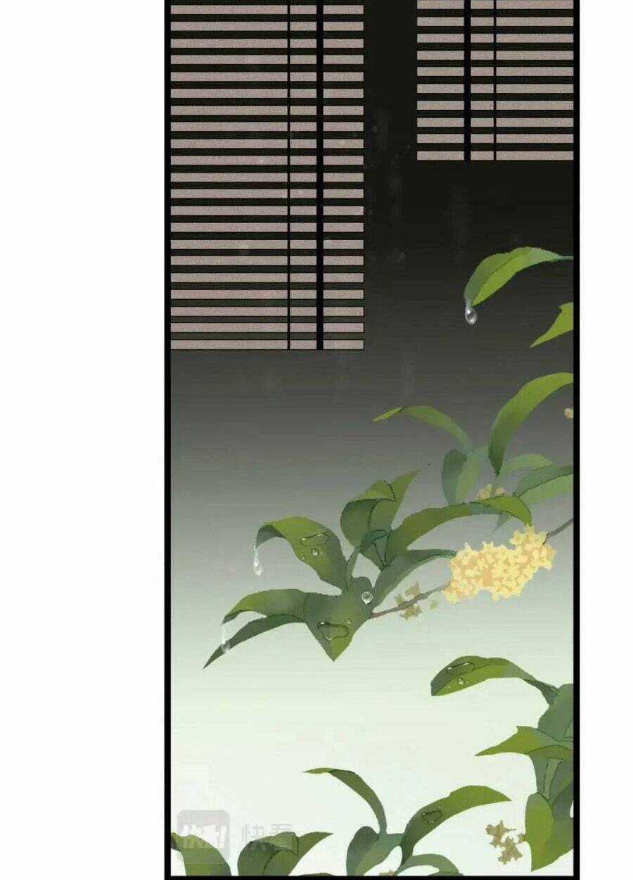 Điều Hương Vương Phi Chapter 36 trang 50