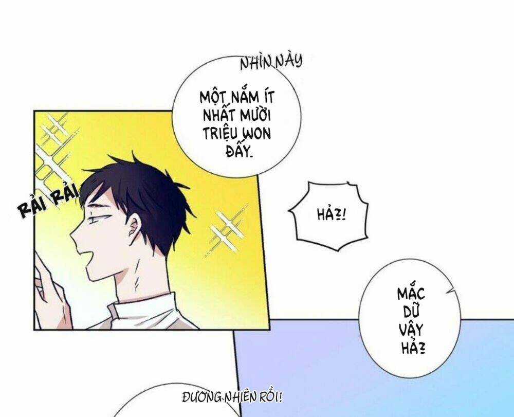 ĐIỀU KỲ DIỆU Ở CẬU Chapter 3 trang 56