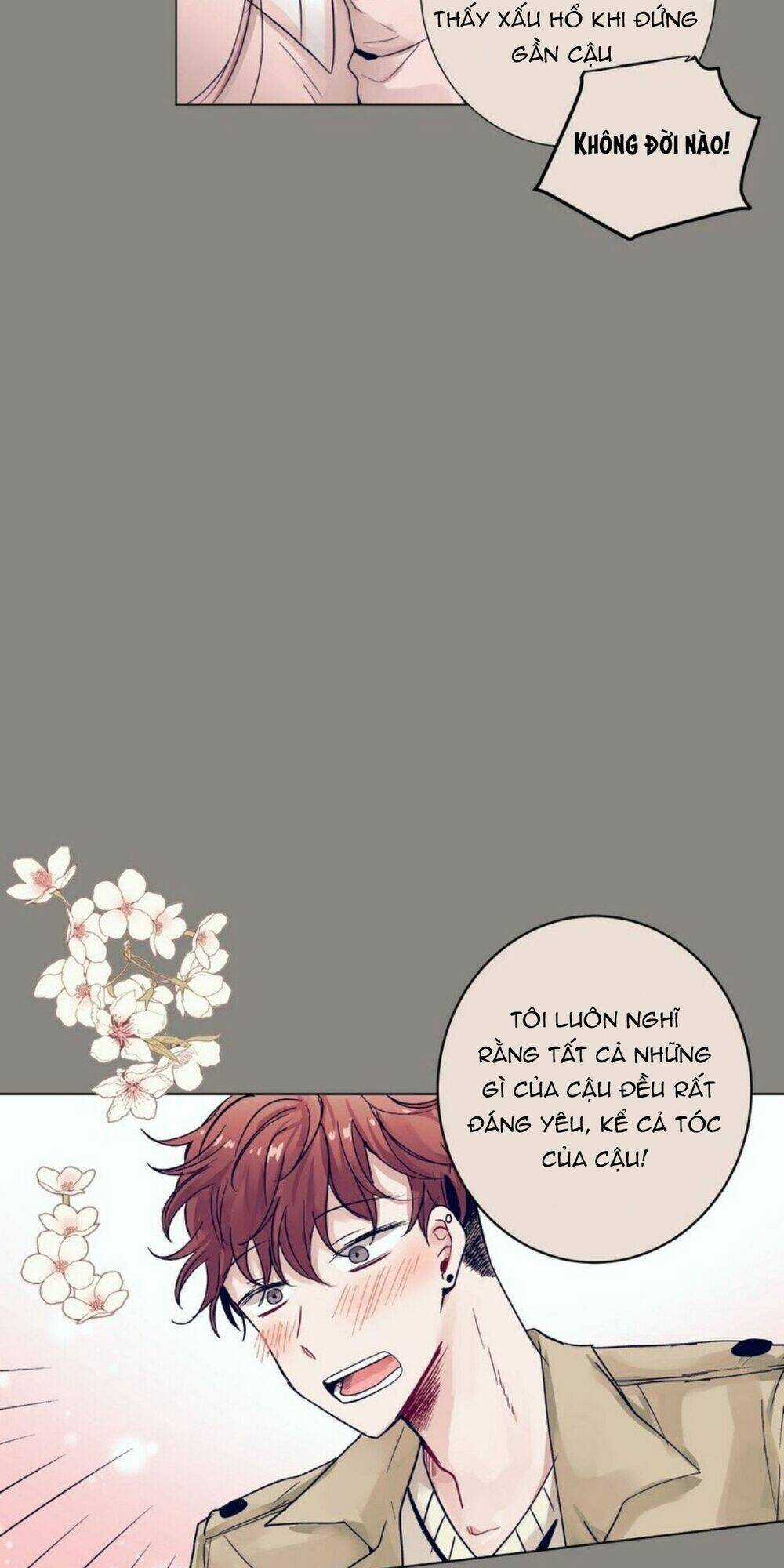 ĐIỀU KỲ DIỆU Ở CẬU Chapter 7 trang 21