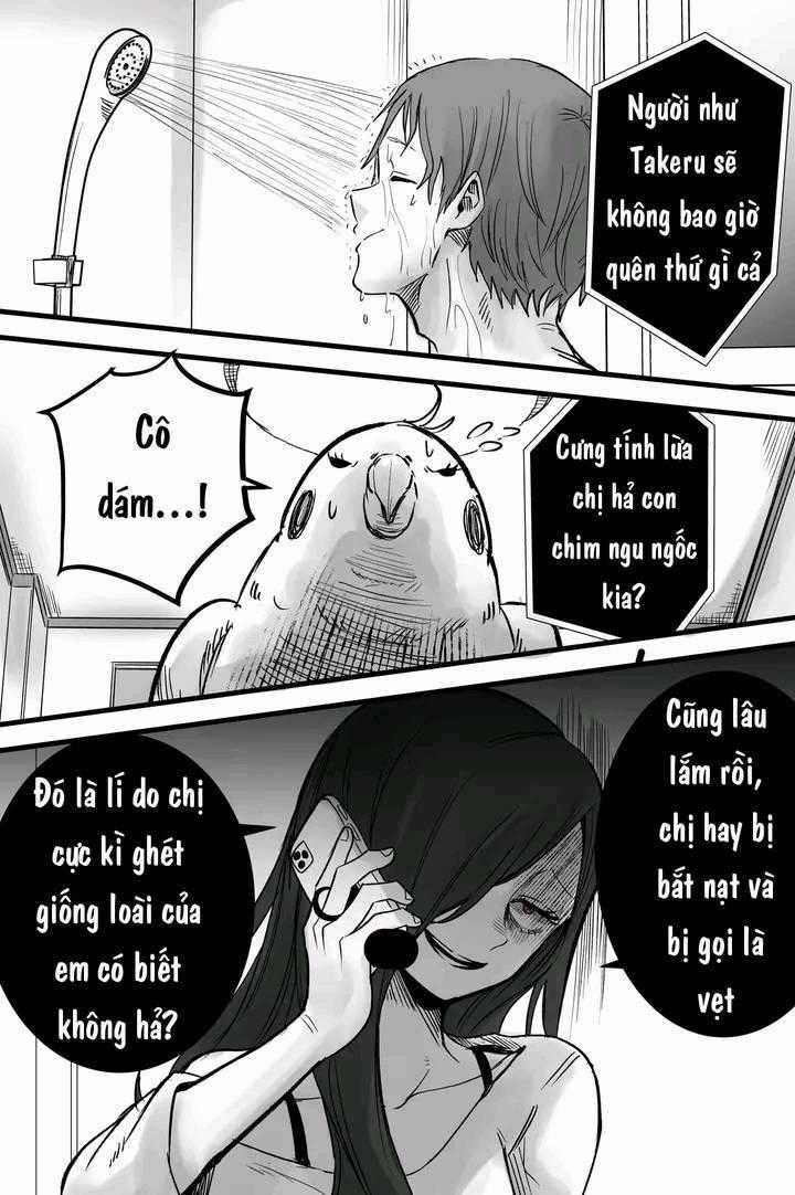 Điều Mà Chú Vẹt Muốn Cảnh Báo Chapter 7 trang 2