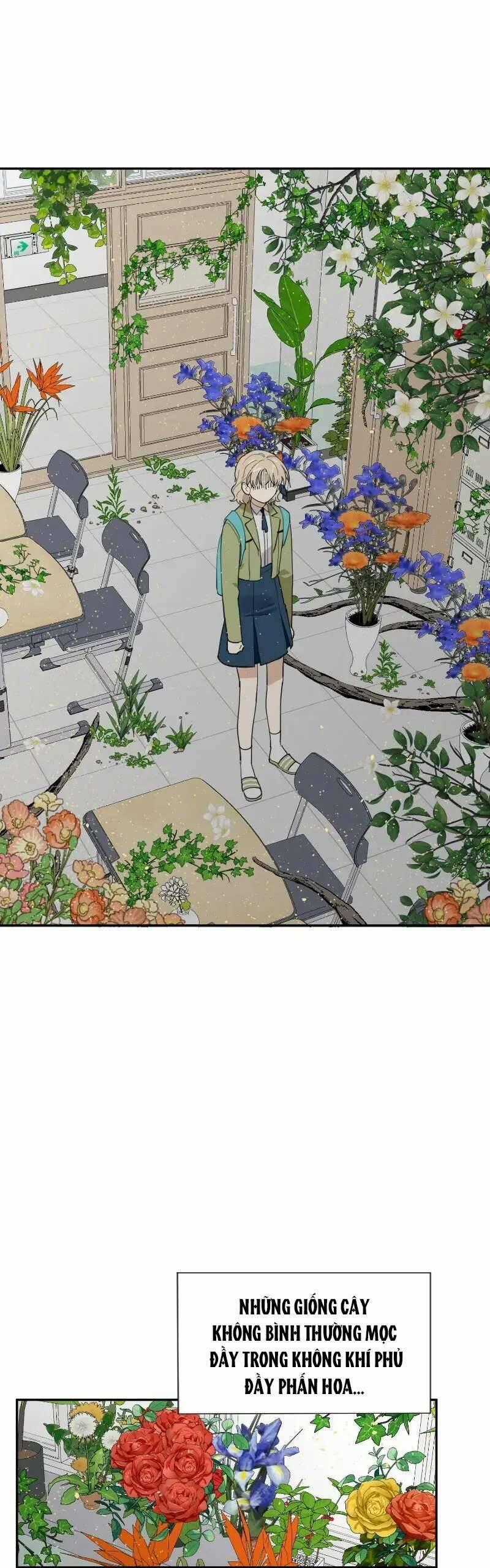 Điều Ước Sao Băng Chapter 11 trang 1