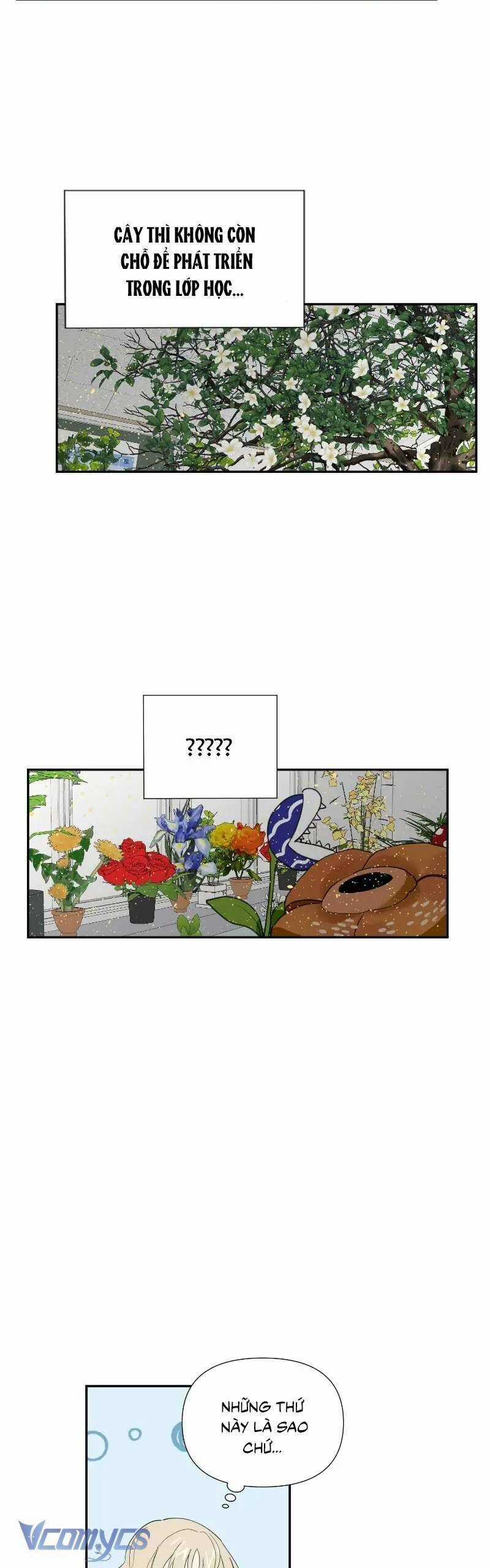 Điều Ước Sao Băng Chapter 11 trang 2