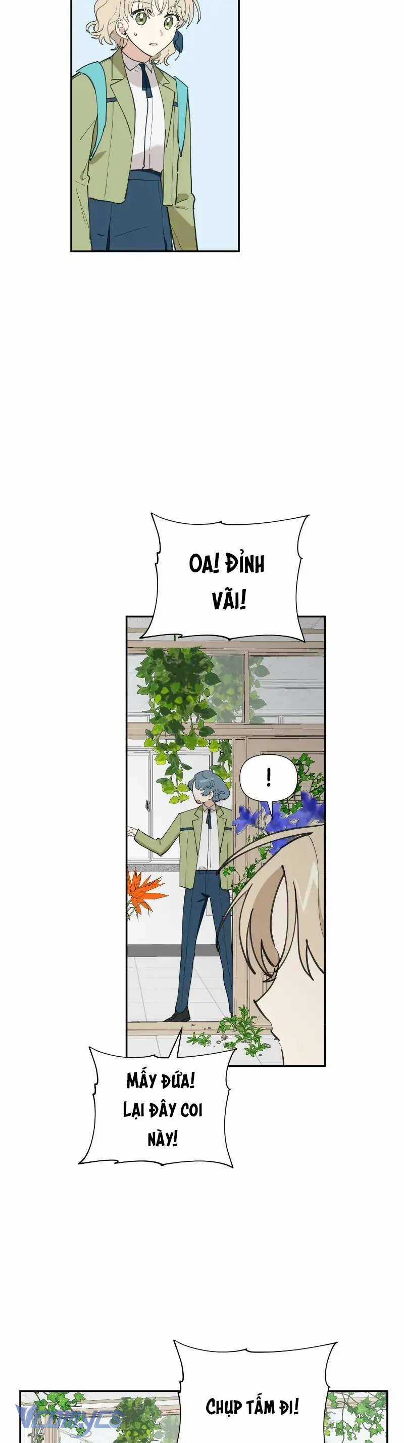 Điều Ước Sao Băng Chapter 11 trang 3