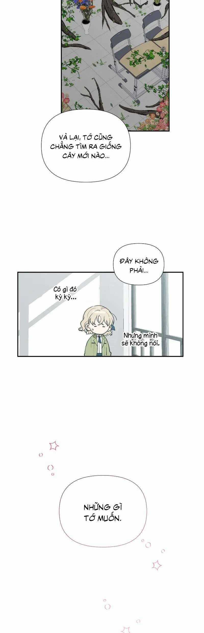 Điều Ước Sao Băng Chapter 11 trang 32