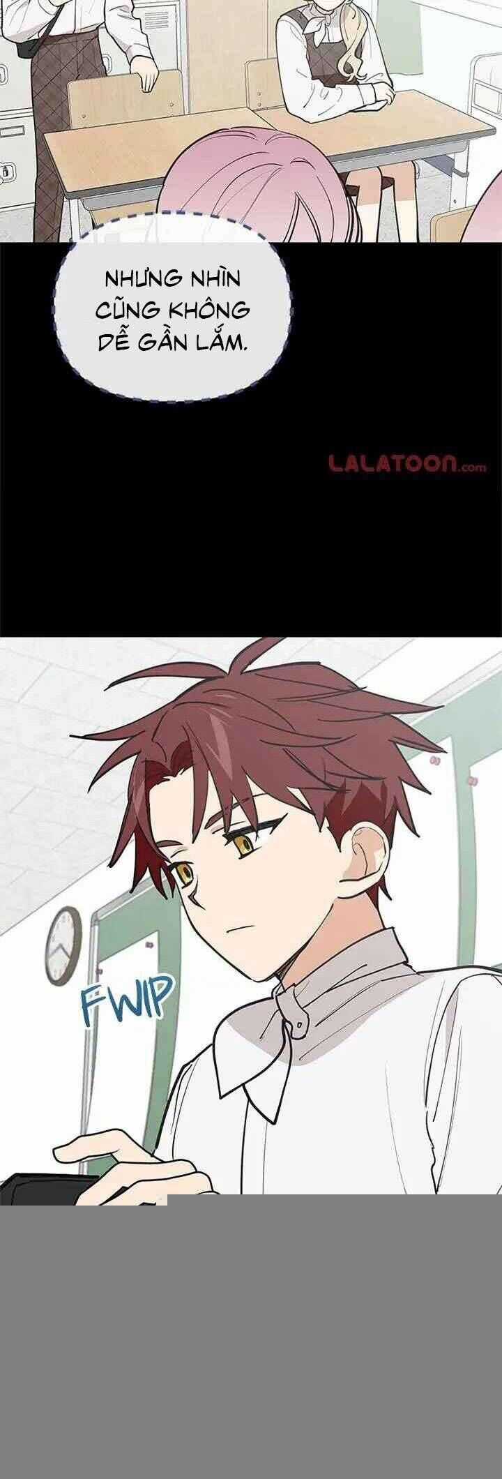 Điều Ước Sao Băng Chương 42 trang 4