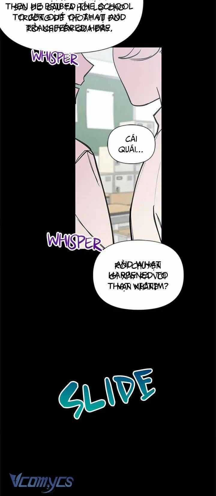 Điều Ước Sao Băng Chương 43 trang 8