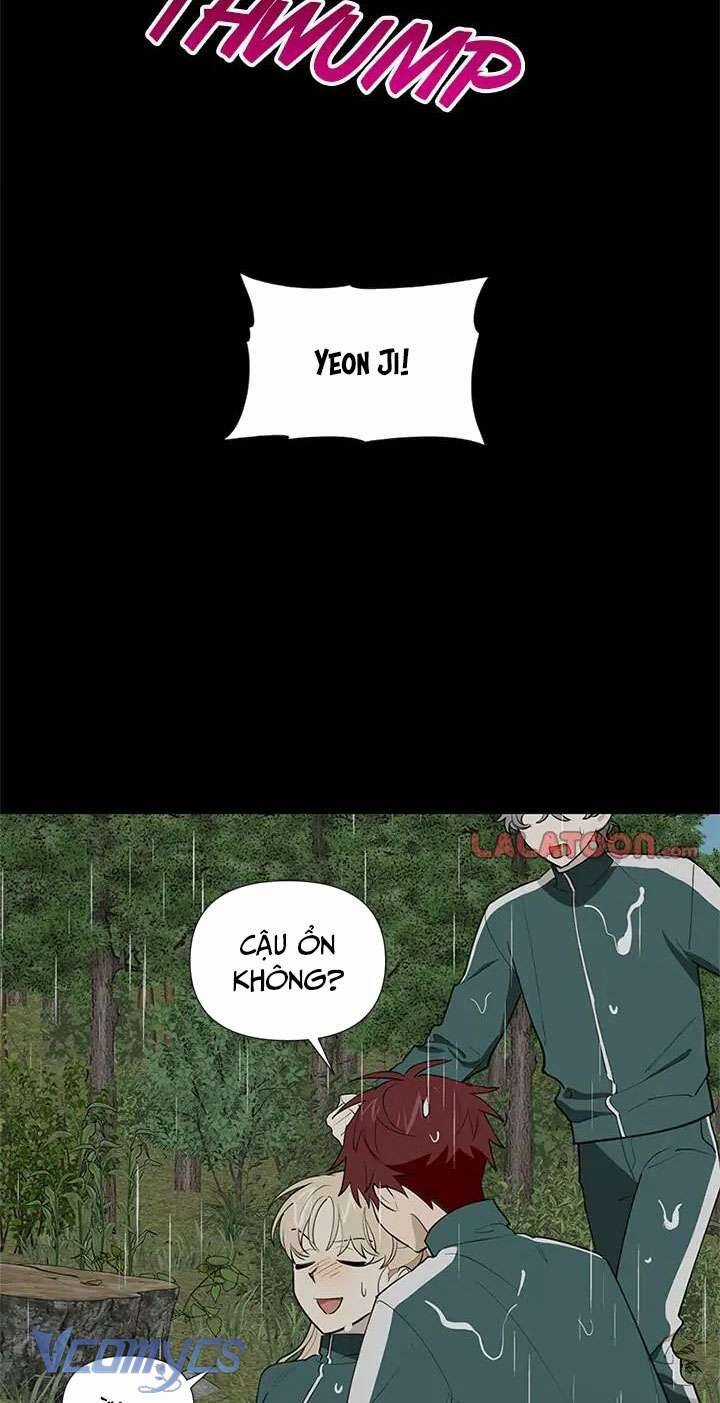 Điều Ước Sao Băng Chương 51 trang 18