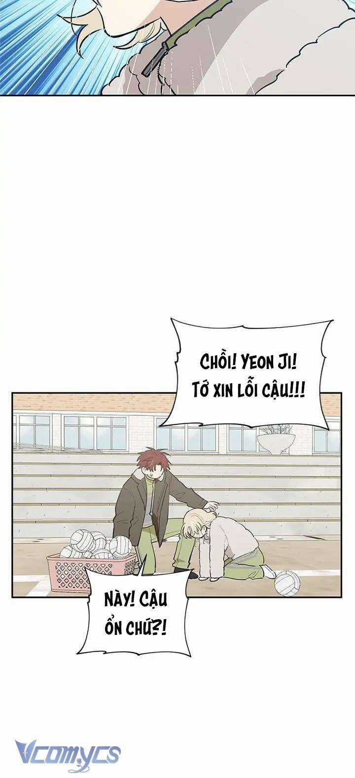 Điều Ước Sao Băng Chương 55 trang 15