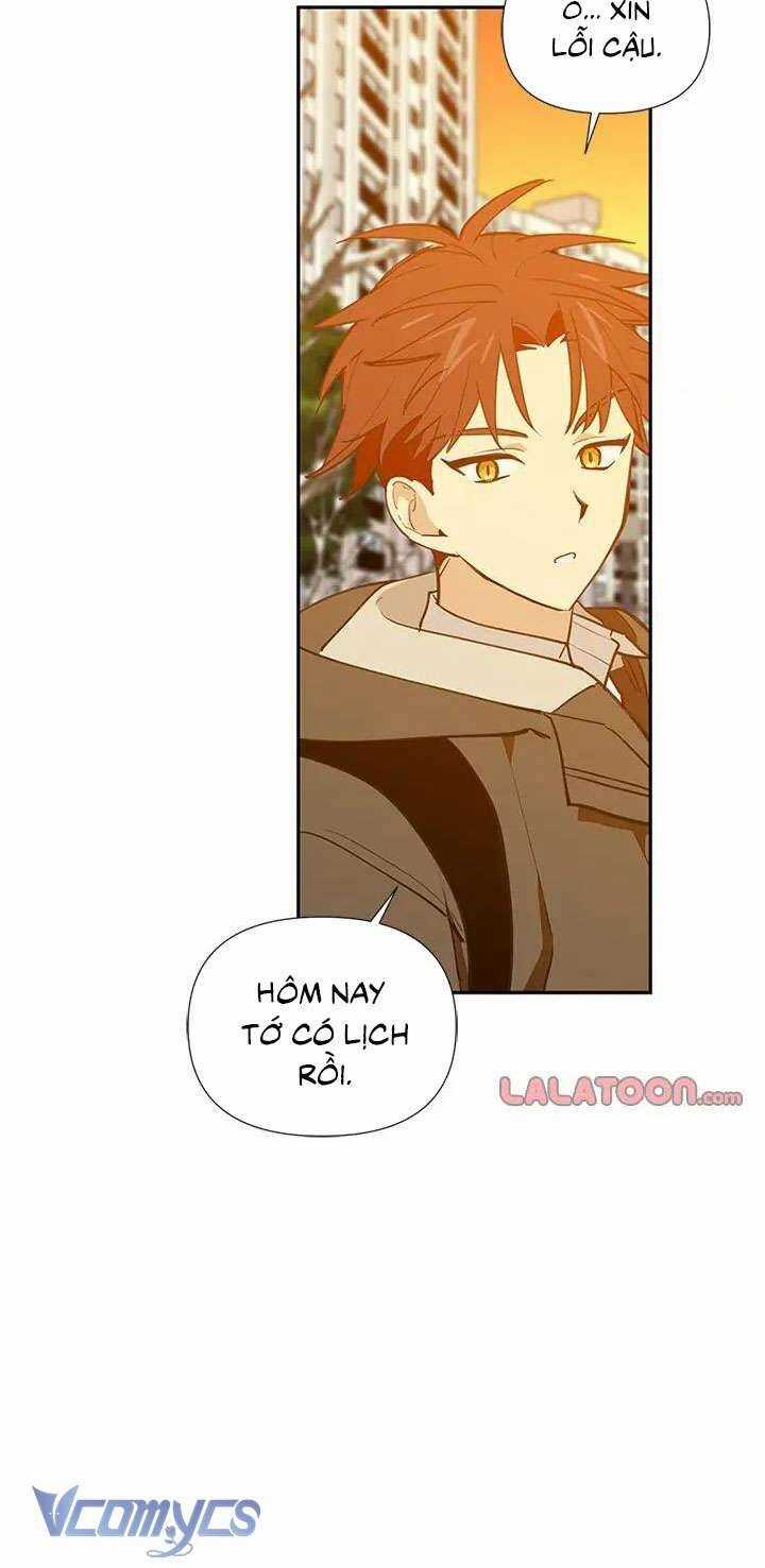 Điều Ước Sao Băng Chương 55 trang 17