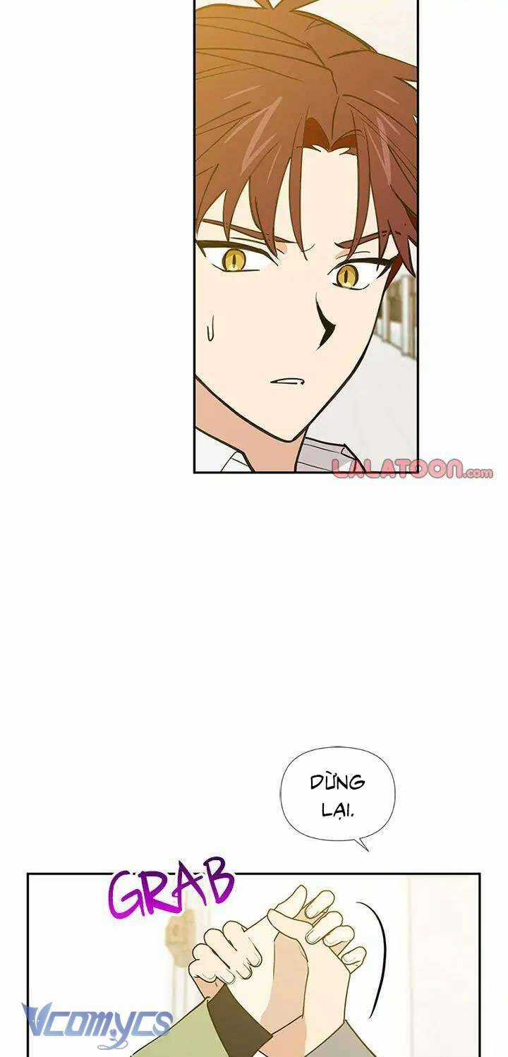 Điều Ước Sao Băng Chương 56 trang 15