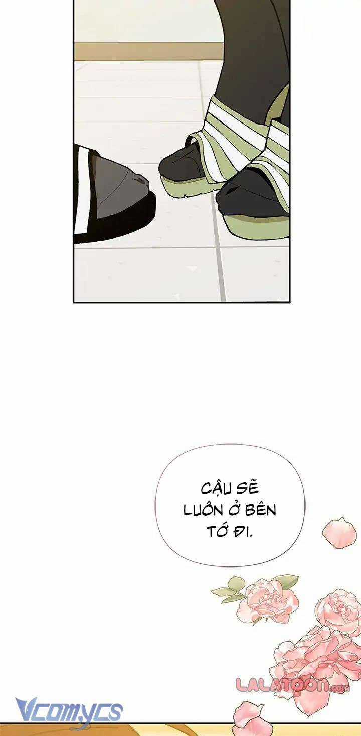 Điều Ước Sao Băng Chương 56 trang 29