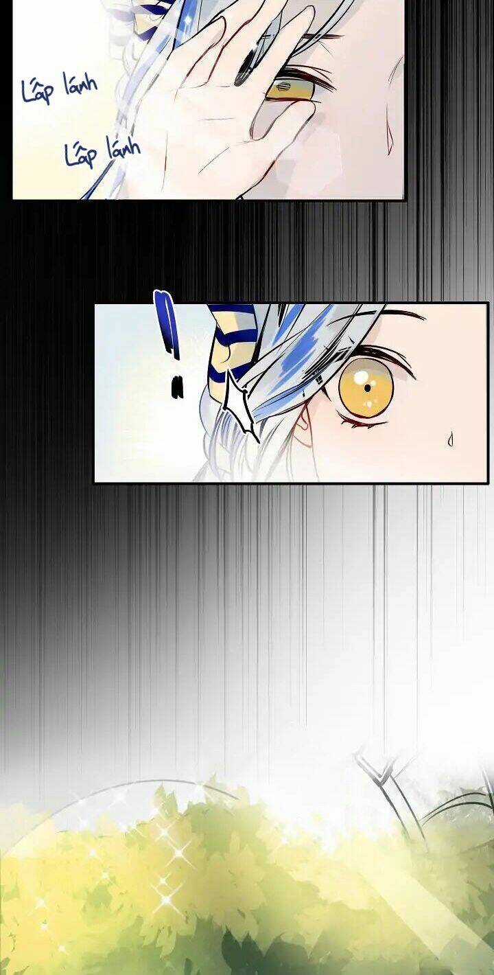 Điều Ước Tuyệt Vời Chapter 1 trang 17