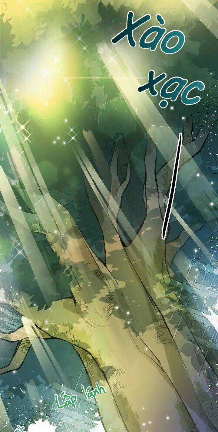 Điều Ước Tuyệt Vời Chapter 1 trang 18