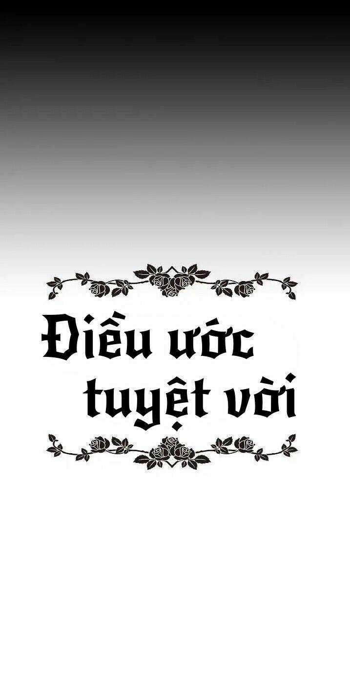 Điều Ước Tuyệt Vời Chapter 1 trang 24