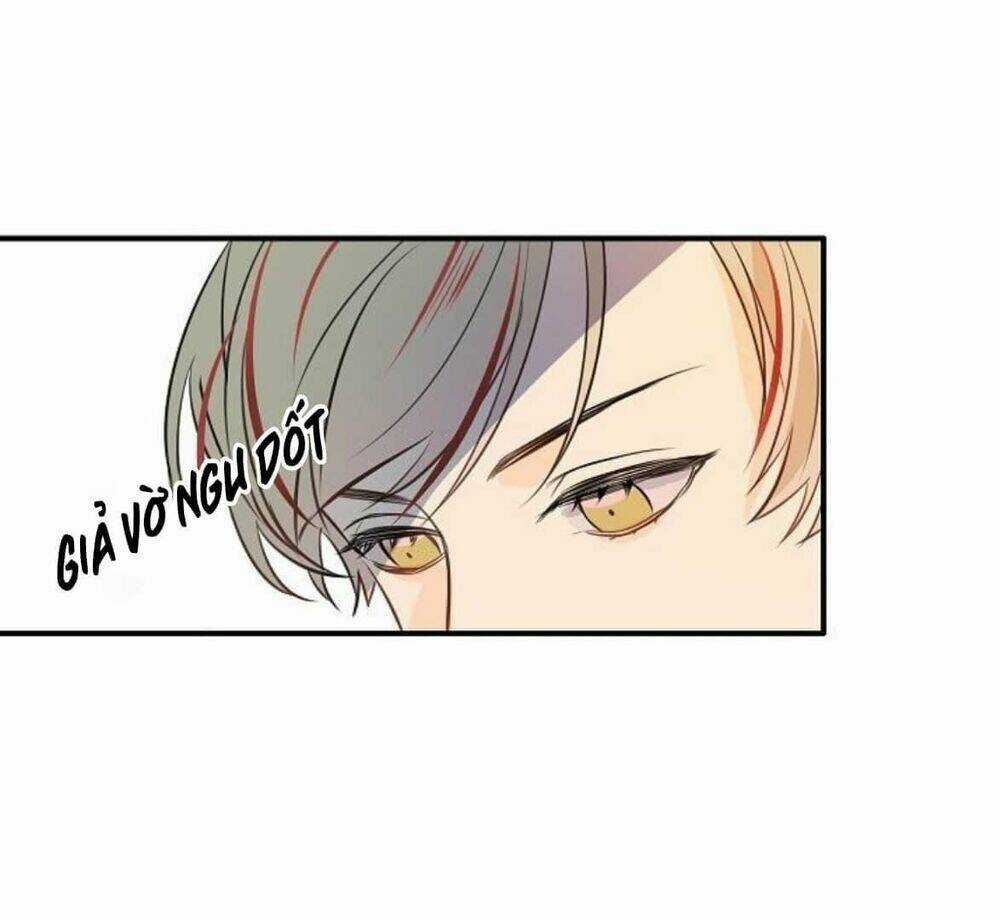 Điều Ước Tuyệt Vời Chapter 17.5 trang 41