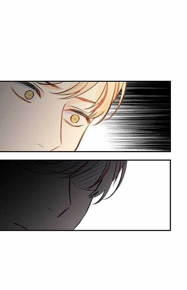 Điều Ước Tuyệt Vời Chapter 17.5 trang 6