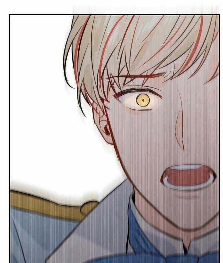 Điều Ước Tuyệt Vời Chapter 17.5 trang 9