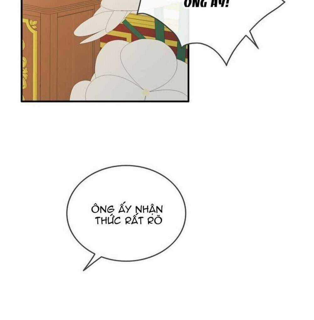 Điều Ước Tuyệt Vời Chapter 17 trang 5