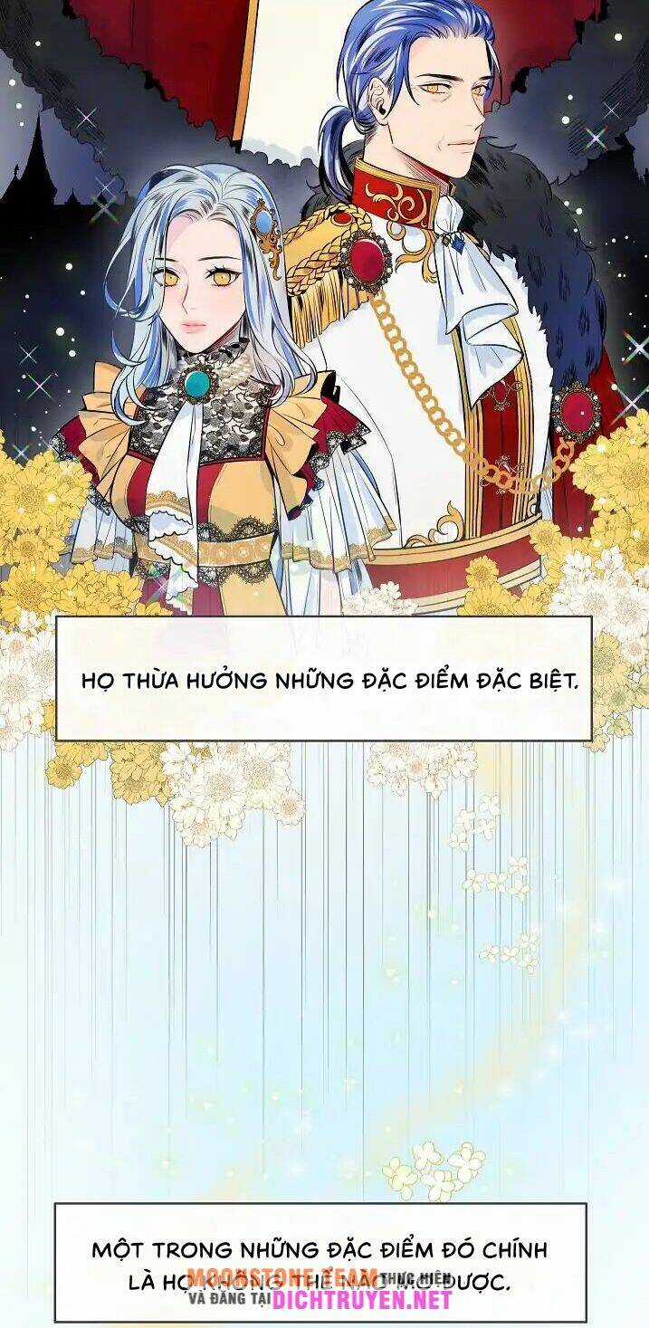 Điều Ước Tuyệt Vời Chapter 2 trang 21