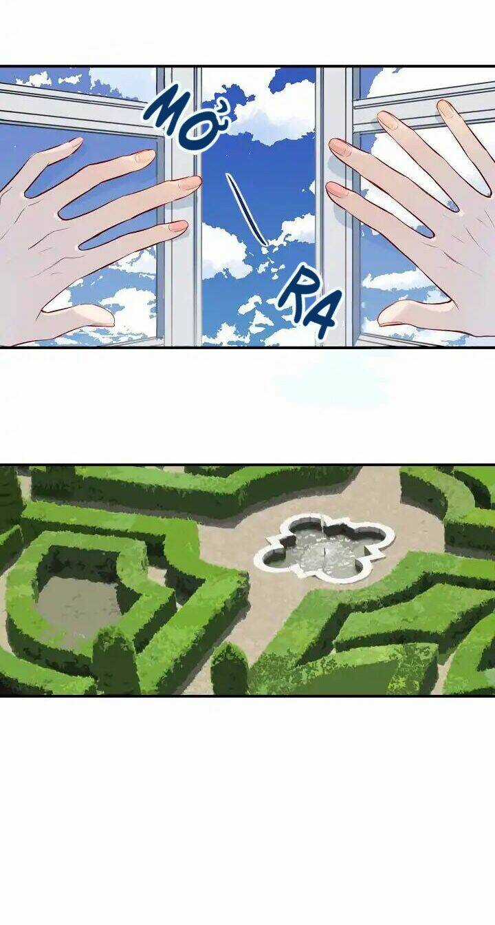 Điều Ước Tuyệt Vời Chapter 2 trang 45