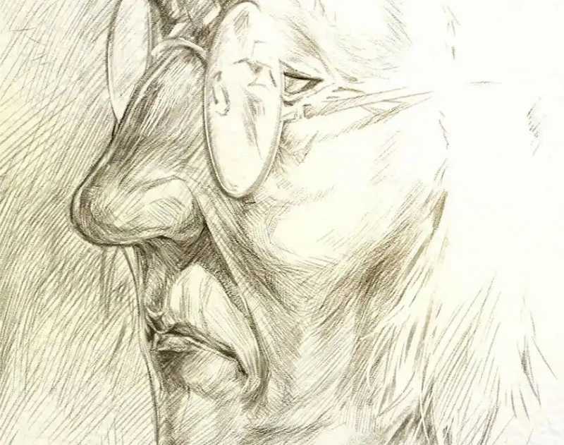 Đỉnh Cấp Khí Vận, Lặng Lẽ Tu Luyện Ngàn Năm Chapter 190 trang 130