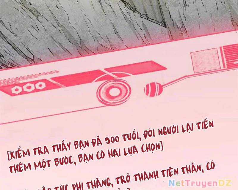 Đỉnh Cấp Khí Vận, Lặng Lẽ Tu Luyện Ngàn Năm Chương 196 trang 72