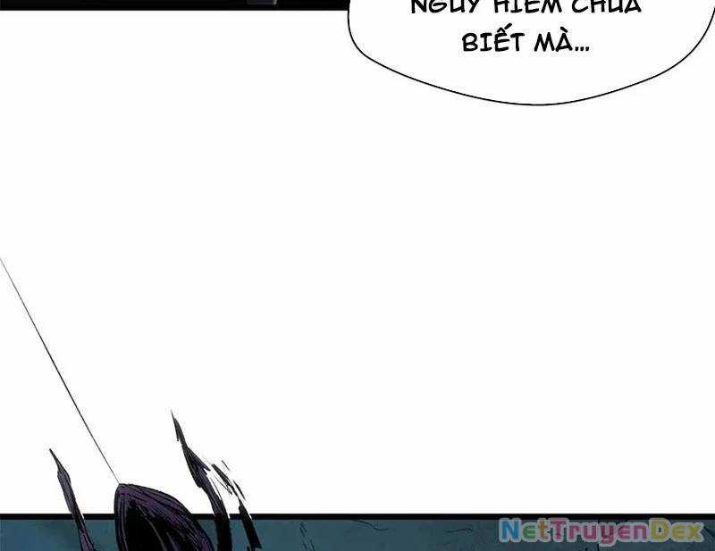 Đỉnh Cấp Khí Vận, Lặng Lẽ Tu Luyện Ngàn Năm Chương 197 trang 14