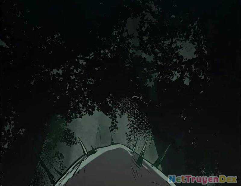 Đỉnh Cấp Khí Vận, Lặng Lẽ Tu Luyện Ngàn Năm Chương 197 trang 25