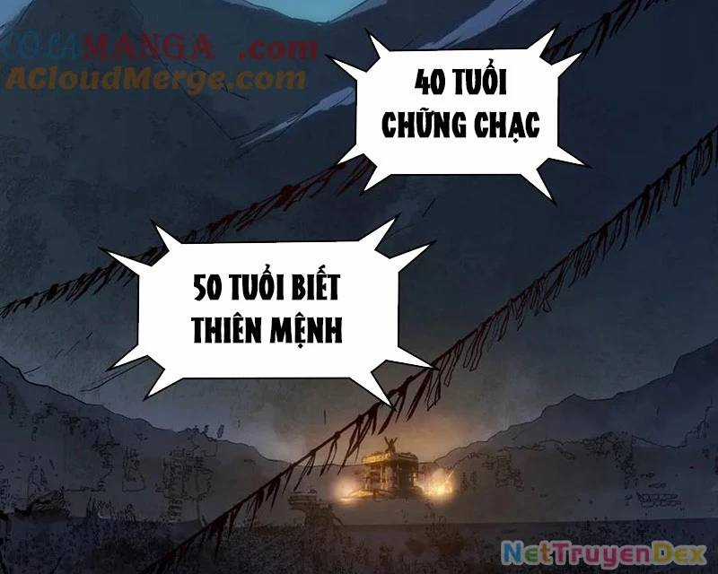 Đỉnh Cấp Khí Vận, Lặng Lẽ Tu Luyện Ngàn Năm Chương 198 trang 96