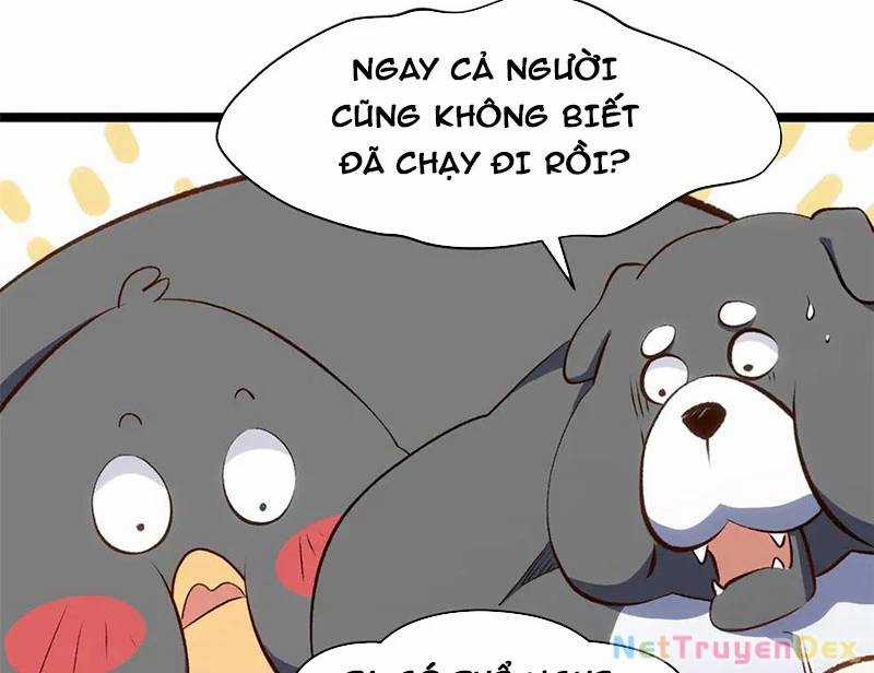 Đỉnh Cấp Khí Vận, Lặng Lẽ Tu Luyện Ngàn Năm Chương 199 trang 14