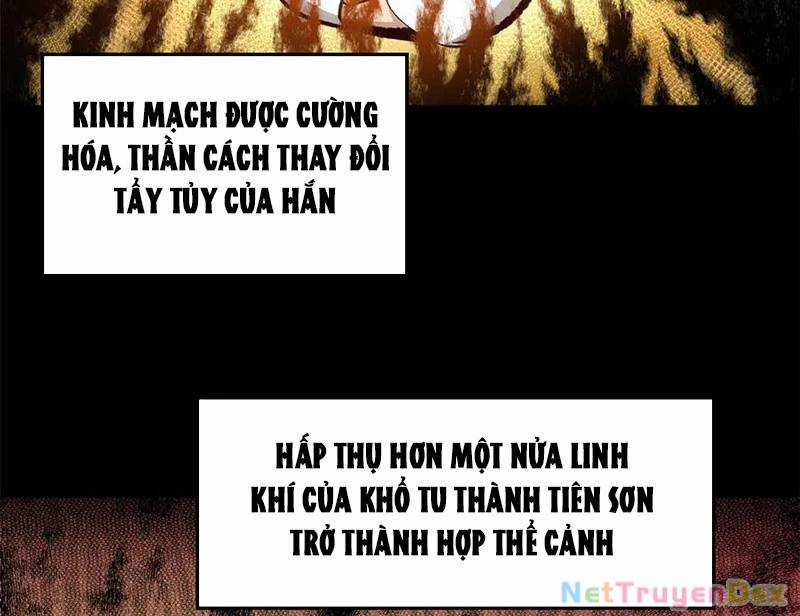 Đỉnh Cấp Khí Vận, Lặng Lẽ Tu Luyện Ngàn Năm Chương 199 trang 2