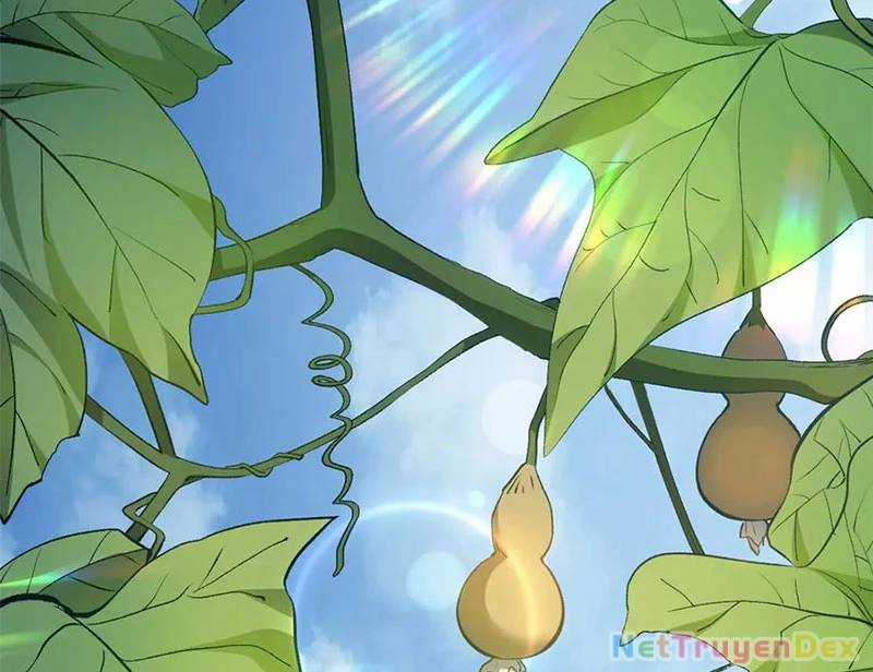 Đỉnh Cấp Khí Vận, Lặng Lẽ Tu Luyện Ngàn Năm Chương 199 trang 29