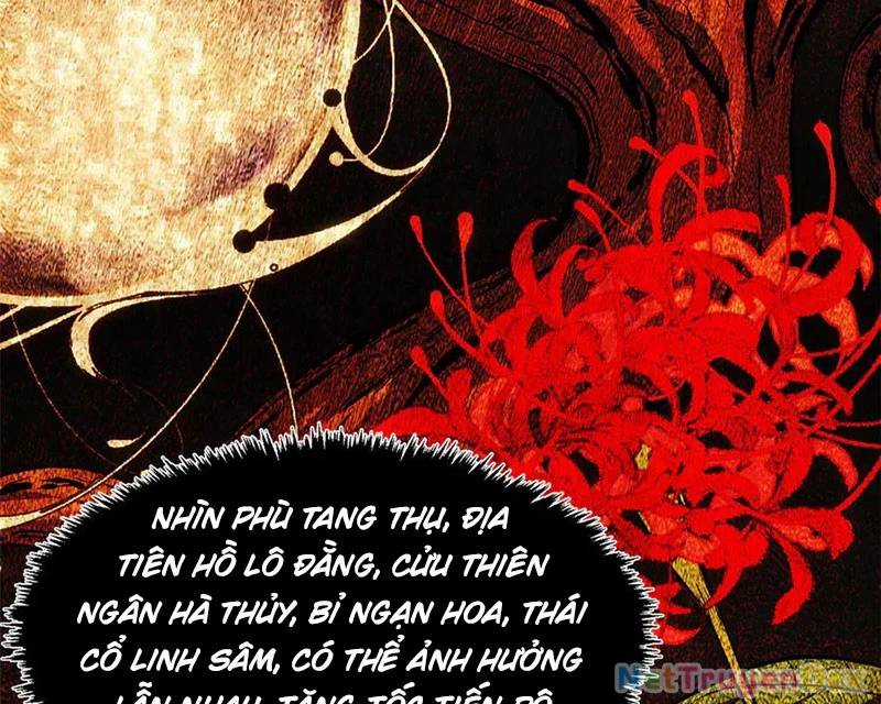 Đỉnh Cấp Khí Vận, Lặng Lẽ Tu Luyện Ngàn Năm Chương 199 trang 38