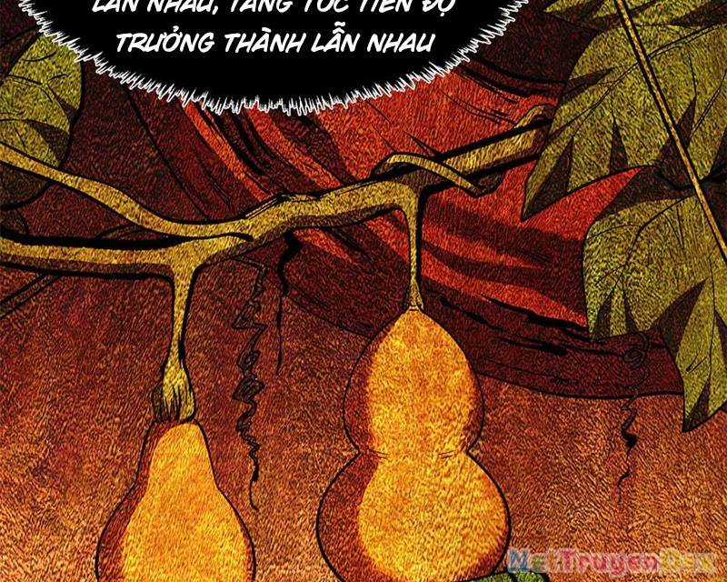 Đỉnh Cấp Khí Vận, Lặng Lẽ Tu Luyện Ngàn Năm Chương 199 trang 39