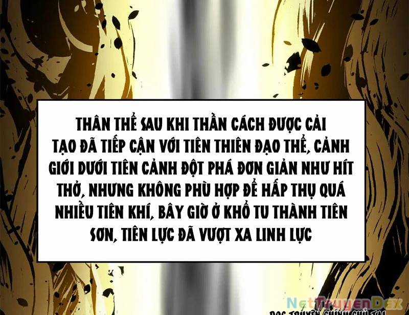 Đỉnh Cấp Khí Vận, Lặng Lẽ Tu Luyện Ngàn Năm Chương 199 trang 7