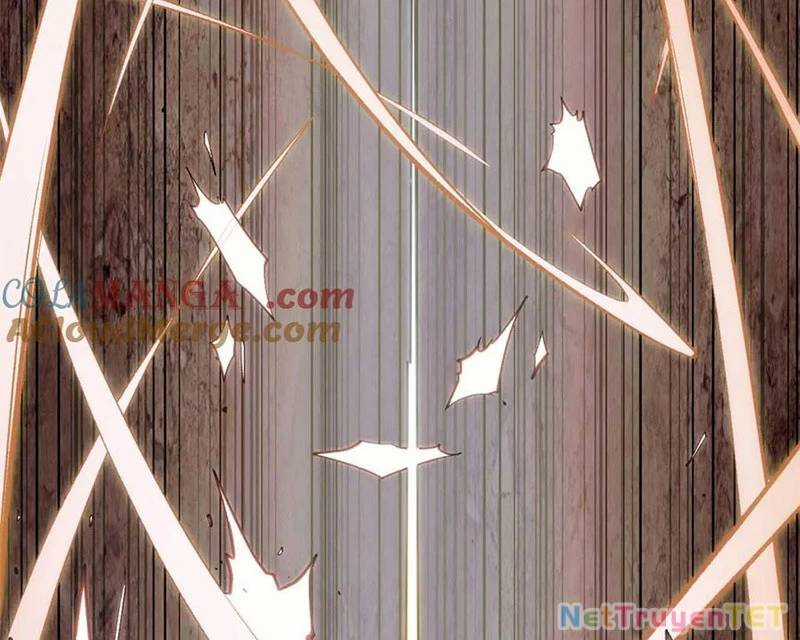 Đỉnh Cấp Khí Vận, Lặng Lẽ Tu Luyện Ngàn Năm Chương 200 trang 55