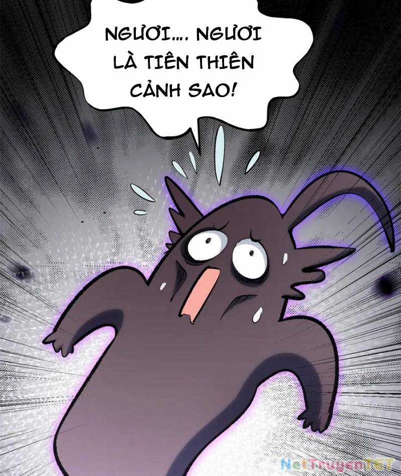 Đỉnh Cấp Khí Vận, Lặng Lẽ Tu Luyện Ngàn Năm Chương 201 trang 46