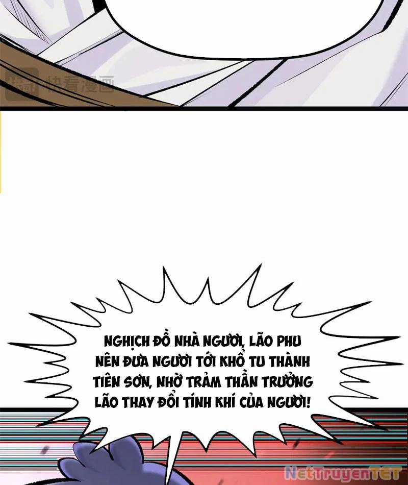 Đỉnh Cấp Khí Vận, Lặng Lẽ Tu Luyện Ngàn Năm Chương 202 trang 13