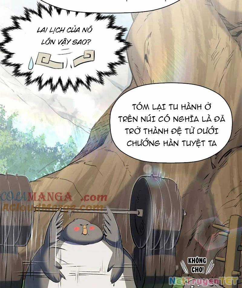 Đỉnh Cấp Khí Vận, Lặng Lẽ Tu Luyện Ngàn Năm Chương 202 trang 54