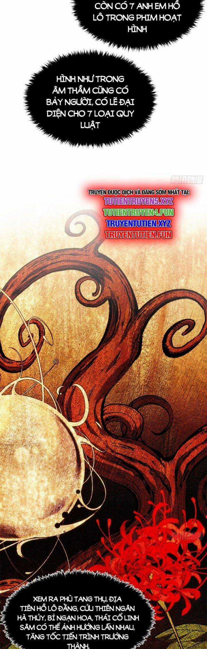 Đỉnh Cấp Khí Vận, Lặng Lẽ Tu Luyện Ngàn Năm Chương 241 trang 11