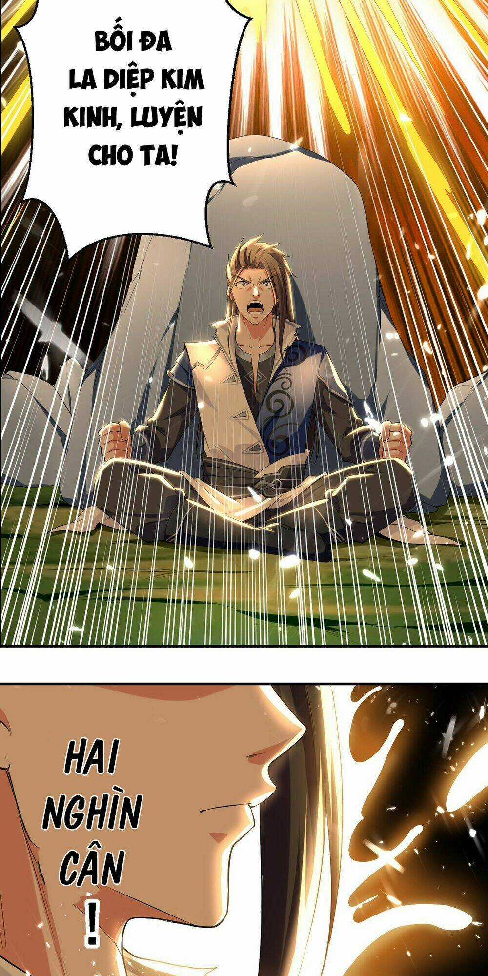 Đỉnh Cấp Võ Hồn Chapter 10 trang 3