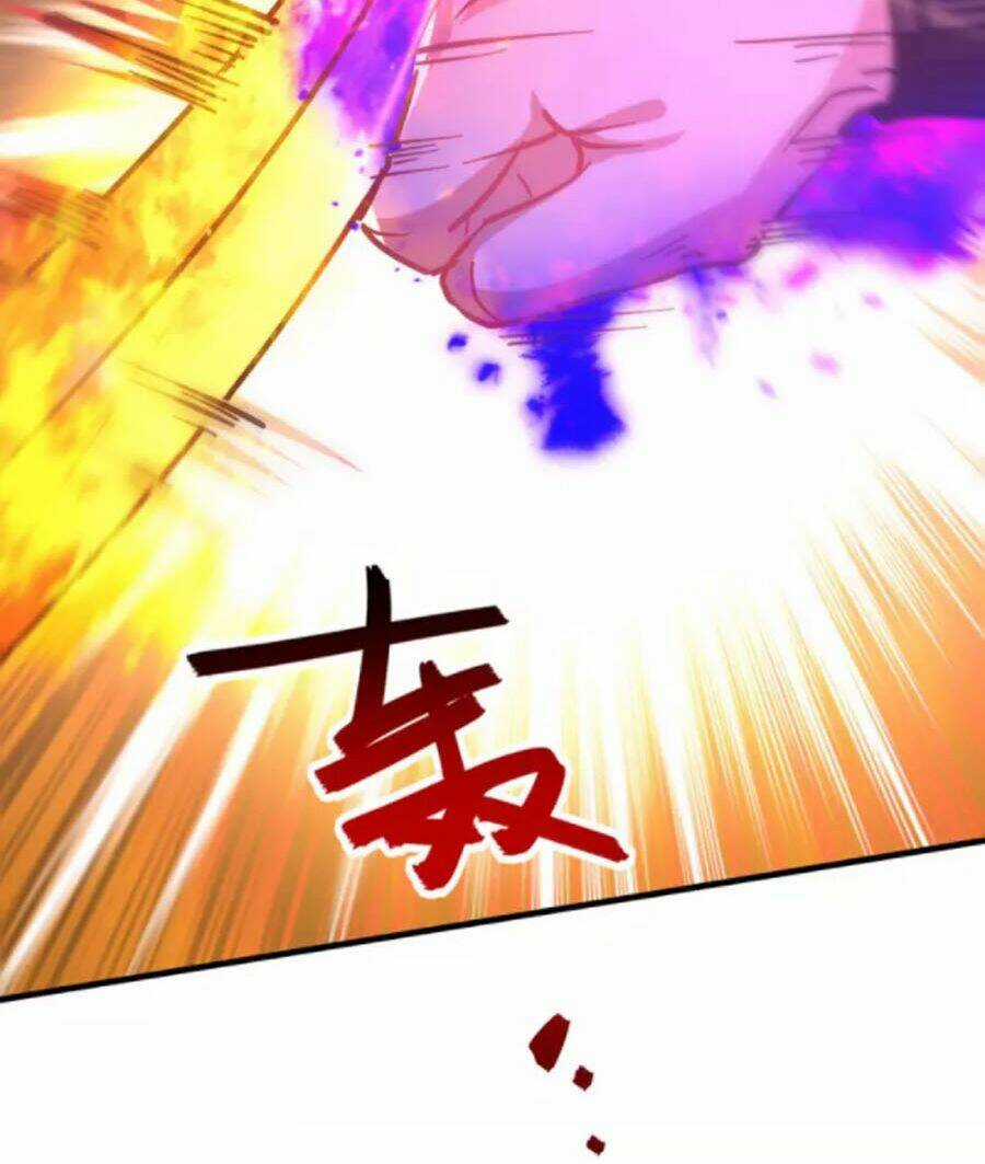 Đỉnh Cấp Võ Hồn Chapter 116 trang 29