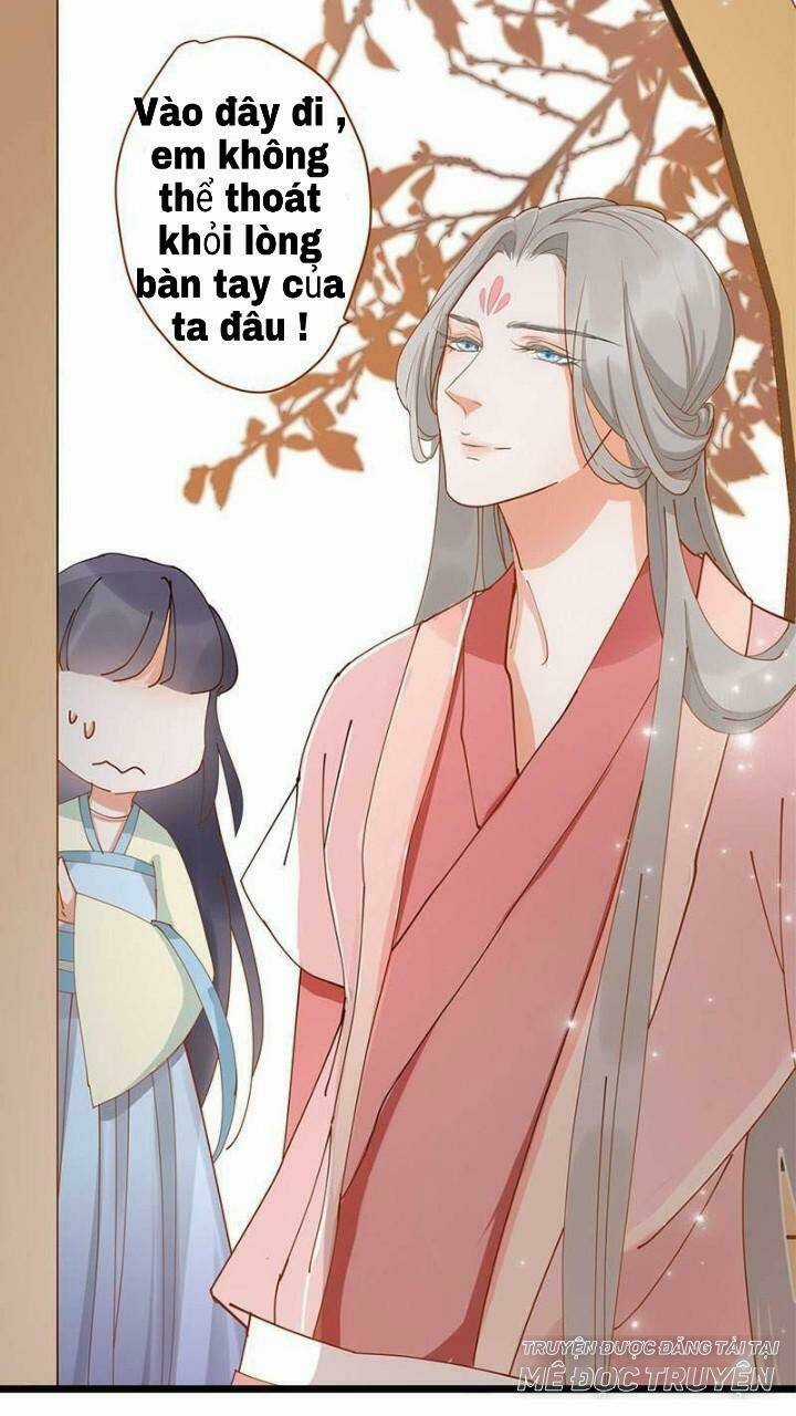 Định Mệnh Giữa Vị Thần Và Tiểu Cô Nương Chapter 6 trang 5