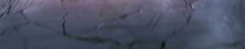 Đỉnh Phong Chi Tinh Chapter 9 trang 129