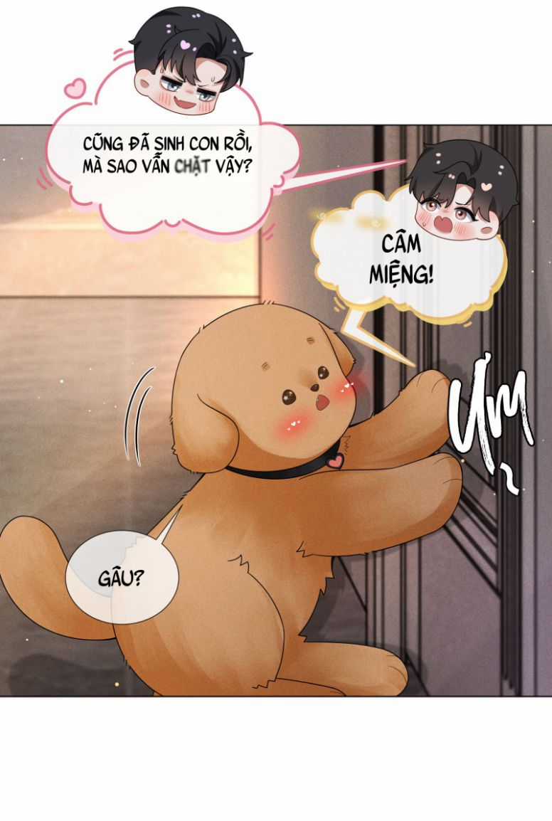 Dior Tiên Sinh Lk Chapter 52 trang 12