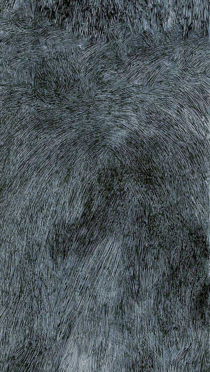 Distant Sky 1 Chapter 0 trang 3