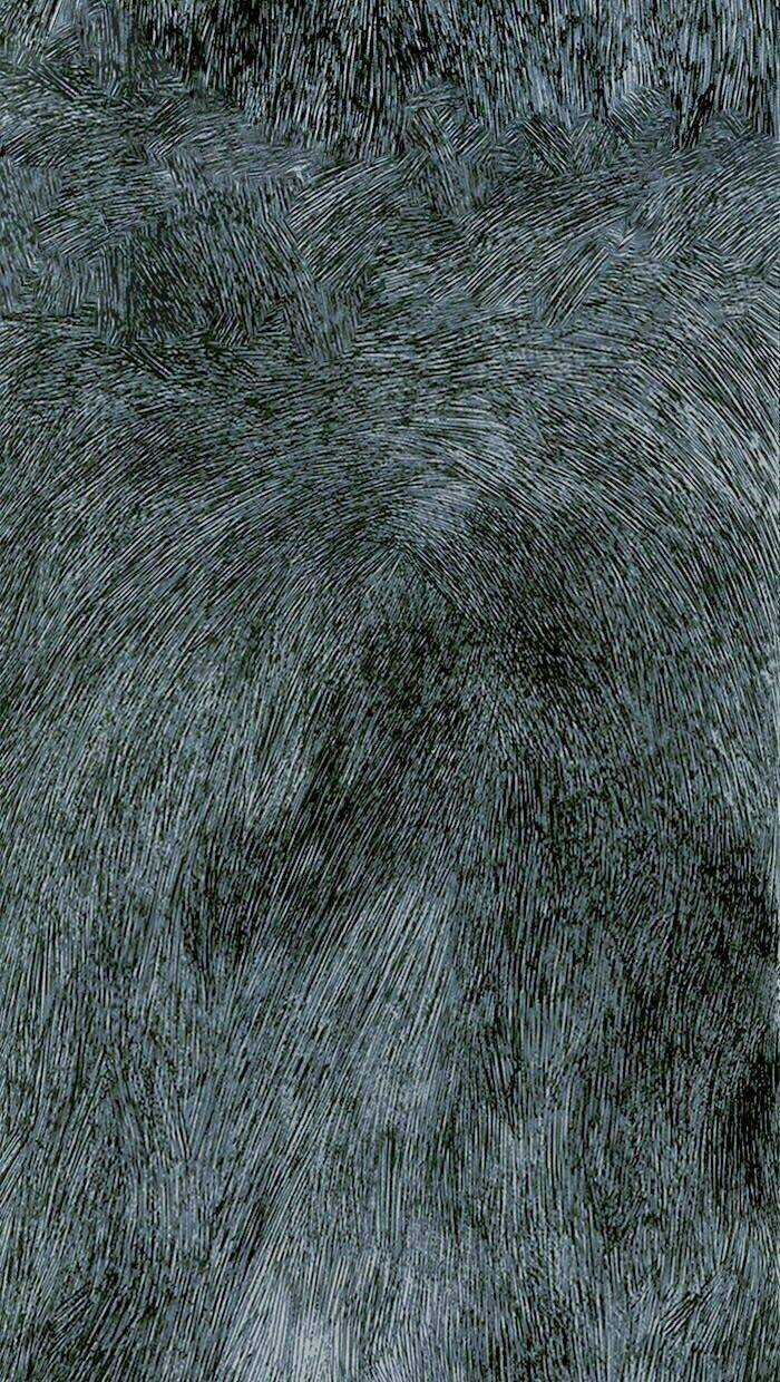 Distant Sky Chapter 0 trang 3